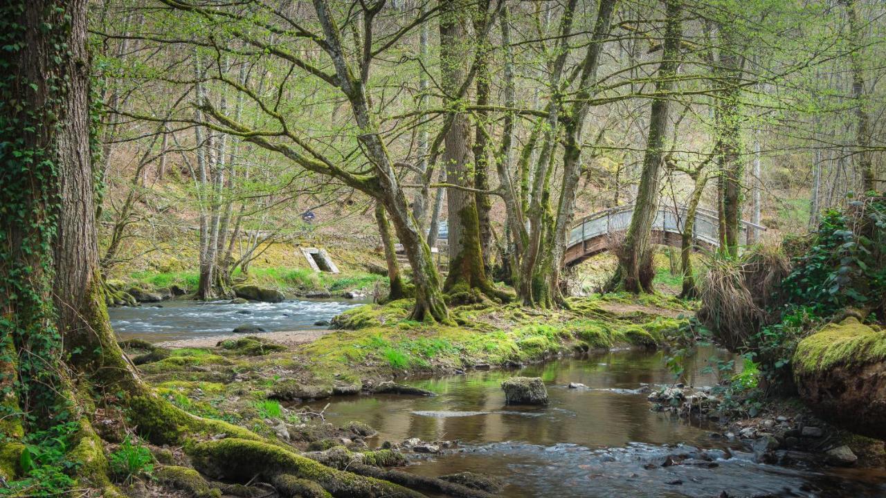 Le Moulin Des Ruats Hotel Avallon Bagian luar foto